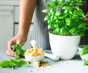 Pesto: przepis krok po kroku