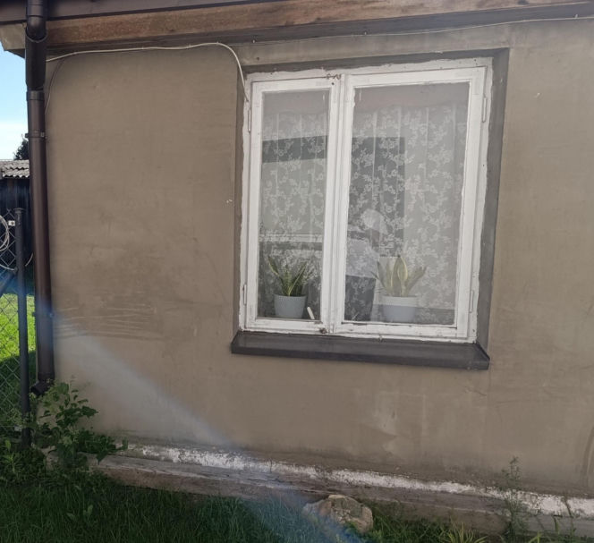 Uciekli, żeby przestraszyć matkę Jacka? Sąsiedzi z Gręzówki mają mocną teorię