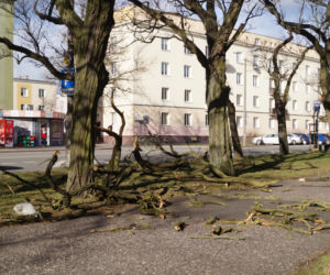 Niszczycielska wichura w Bydgoszczy [ZDJĘCIA]