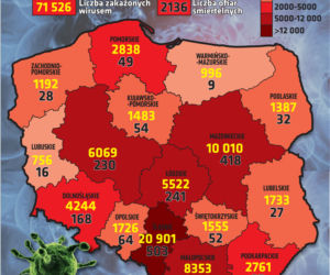 Koronawirus w Polsce. Ile jest dziś zakażeń? [8 WRZEŚNIA 2020]
