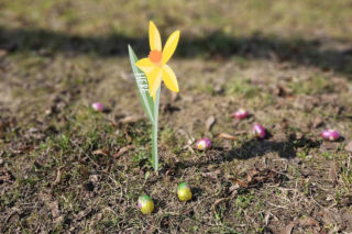 Wielkanocne szukanie jajek! W Parku przy ul. Braci Wieniawskich odbyło się pierwsze takie wydarzenie w Lublinie