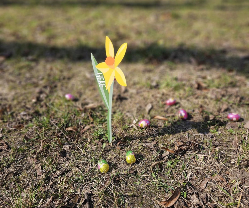 Wielkanocne szukanie jajek! W Parku przy ul. Braci Wieniawskich odbyło się pierwsze takie wydarzenie w Lublinie