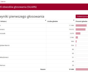 Wybory prezydenckie 2020 w woj. śląskim. W Katowicach i Sosnowcu wygrał Rafał Trzaskowski [WYNIKI W MIASTACH I POWIATACH]