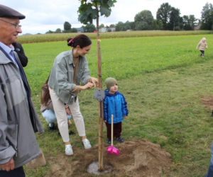 sadzenie drzew w Kraszewicach 2026