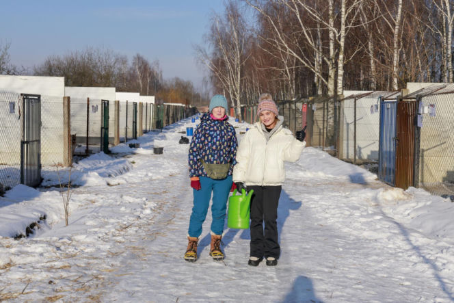 Marta Krupa z pomocą dla zwierząt. Nakarmiła psy i koty w potrzebie