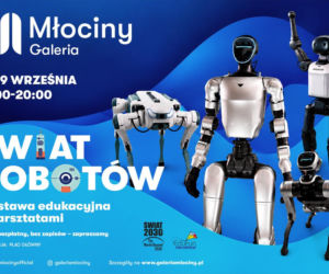 Tak może wyglądać przyszłość. RoboPies i humanoid w Galerii Młociny