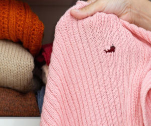 Skrop herbatę i włóż do szafy. Nigdy więcej nie zobaczysz w niej moli ani dziur w ubraniach. Sposób na mole ubraniowe