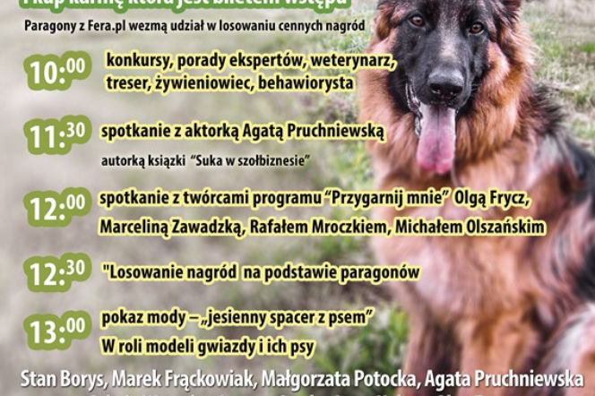 Gwiazdy na Paluch