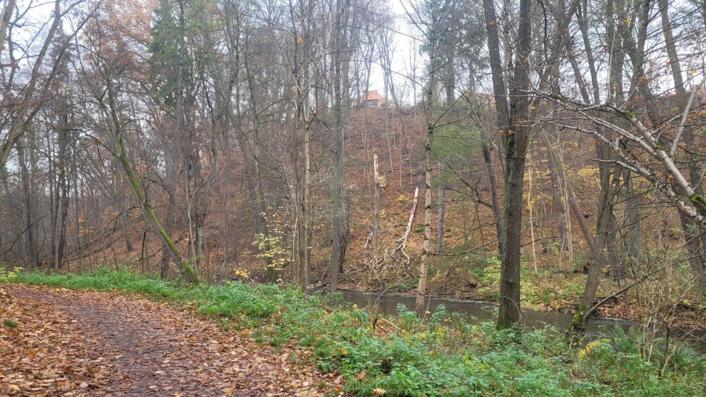   Łynostrada zachwyca o tej porze roku. Zobacz, jak prezentuje się jesienią [ZDJĘCIA]