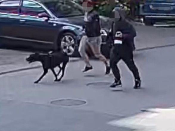 Pies rzucił się na rowerzystkę. Właściciel trafił do więzienia