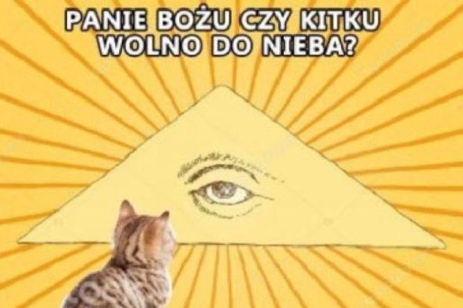 Panie Bożu, czy... wolno do nieba? O co chodzi w tych memach?