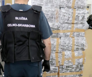 Co było pod węglem do grilla? Zaskakujące znalezisko w Bobrownikach [ZDJĘCIA]