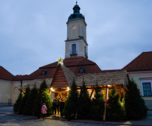 Białystok. Dekoracje świąteczne 2019/2020