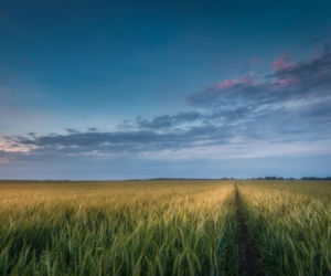 Czy to bajka? Nie, to fantastyczne ujęcia z Podlasia!