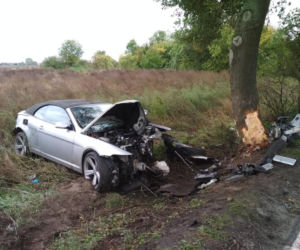 BMW roztrzaskało się na drzewie
