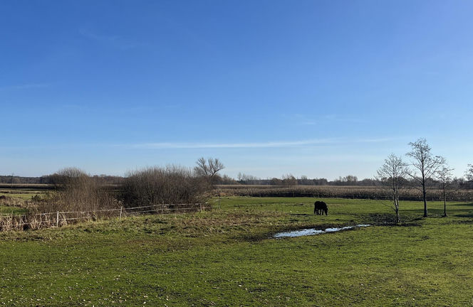 Myśliwy zastrzelił myśliwego. "Dusza człowiek". Horror pod Milejowem