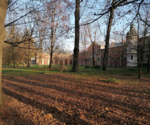 To miasto jest nazywane Perłą Górnego Śląska. Kiedyś leżało w Małopolsce