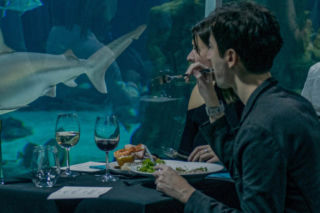 Kolacja Orientarium ZOO Łódź