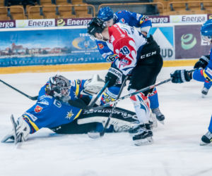 KH Energa Toruń - Podhale Nowy Targ 3:2 - zdjęcia z meczu
