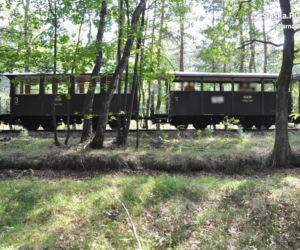 Mężczyzna potrącony przez kolejkę wąskotorową [ZDJĘCIA]