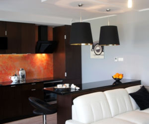 Salon z kuchnią
