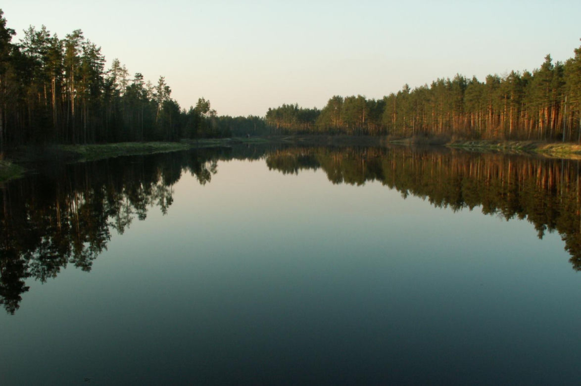 Puszcza Solska
