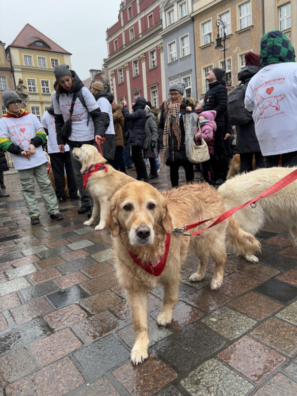 Wolontariusze WOŚP Poznań