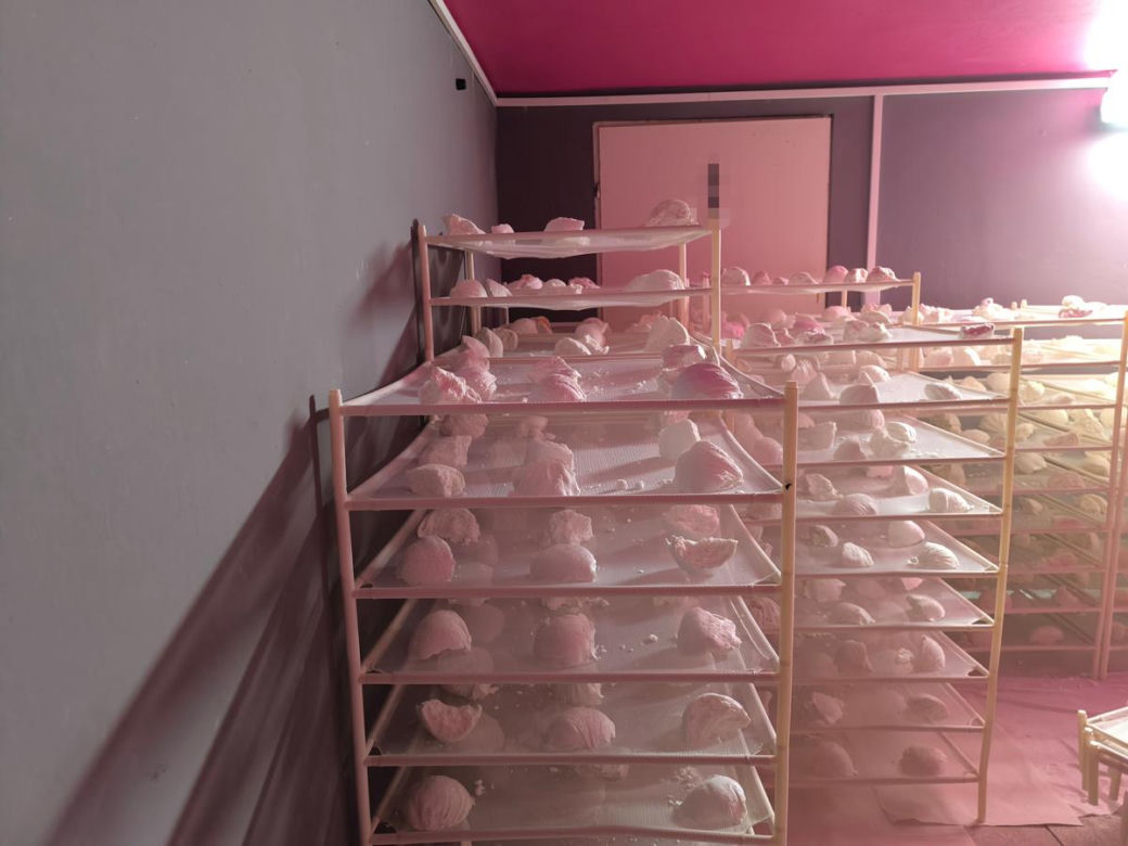 Nielegalna fabryka farmaceutyków pod Warszawą. Sprowadzali z Chin, wysyłali na Zachód