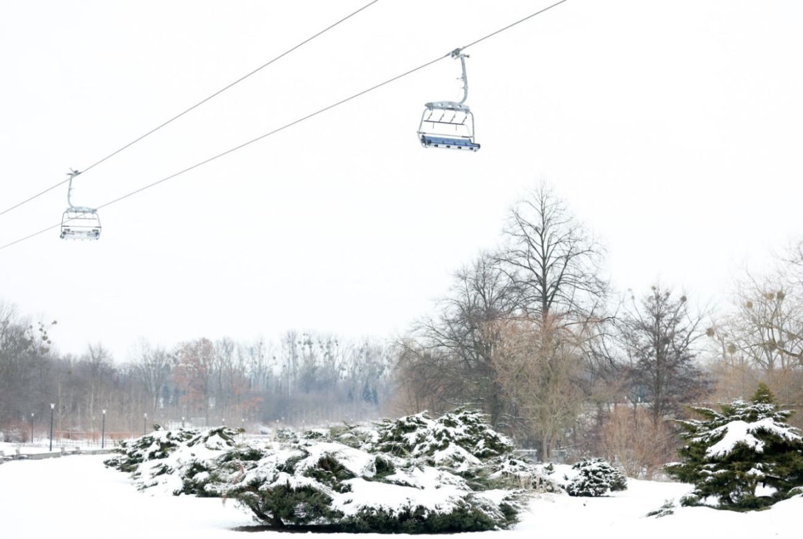 Tam jest jak w bajce! Park Śląski zimą na fotografiach 