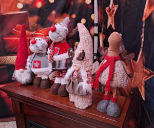 Święty Mikołaj Biedronki odwiedził świętokrzyskie miasto. Zobaczcie co działo się w wiosce przed sklepem