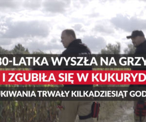 86-latka zgubiła się w polu kukurydzy 