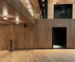 Teatr Miejski w Tallinie, proj. Salto arhitektuuribüroo