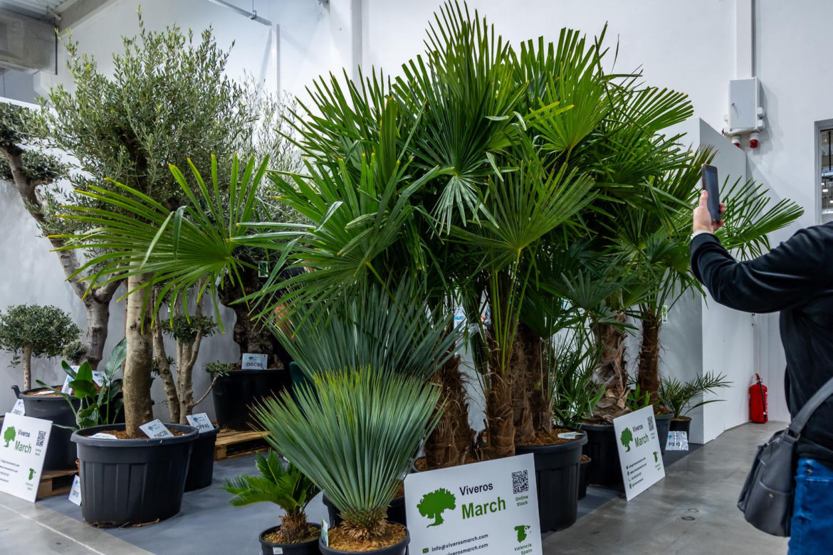 Warsaw Garden Expo