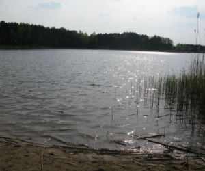 Jeziora w Toruniu i okolicach. Tutaj możesz odpocząć nad wodą