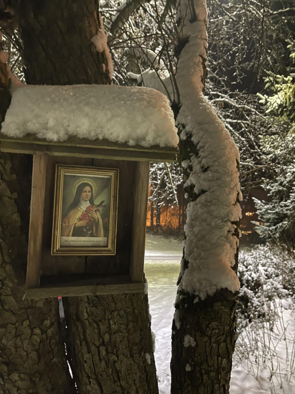 Zapomnij o Zakopanem! Ta wieś na Dolnym Śląsku zimą zamienia się w bajkową krainę