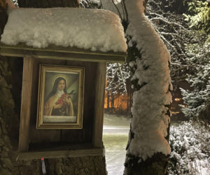 Zapomnij o Zakopanem! Ta wieś na Dolnym Śląsku zimą zamienia się w bajkową krainę