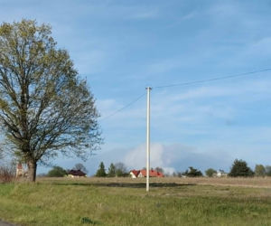 Pożar lasu koło Biłgoraja