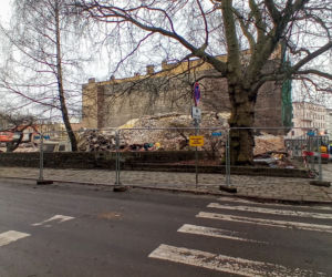 Maciuś zniknął z powierzchni ziemi