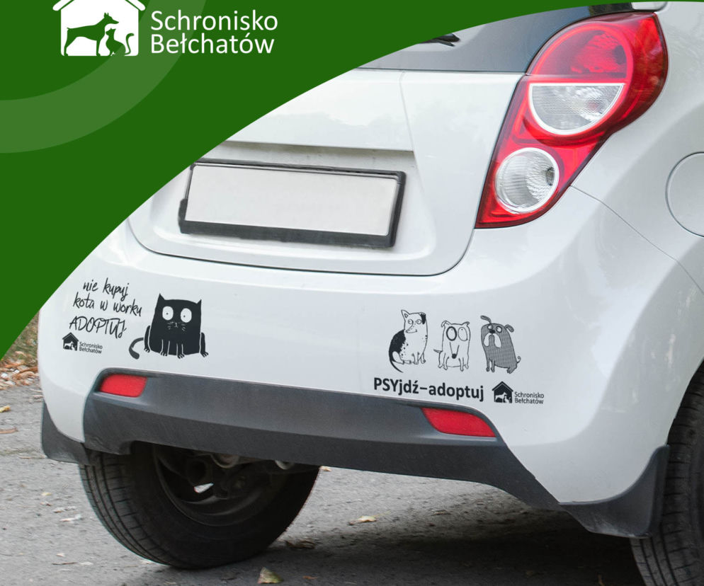 Niecodzienna akcja bełchatowskiego schroniska dla zwierząt. Rozdają oryginalne gadżety w słusznym celu!