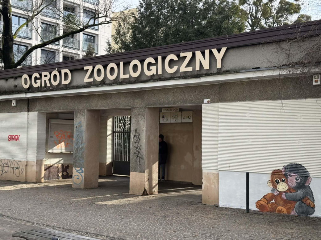 Artysta namalował mural z małpką Punch i wpadł w kłopoty! Zaskakujący finał