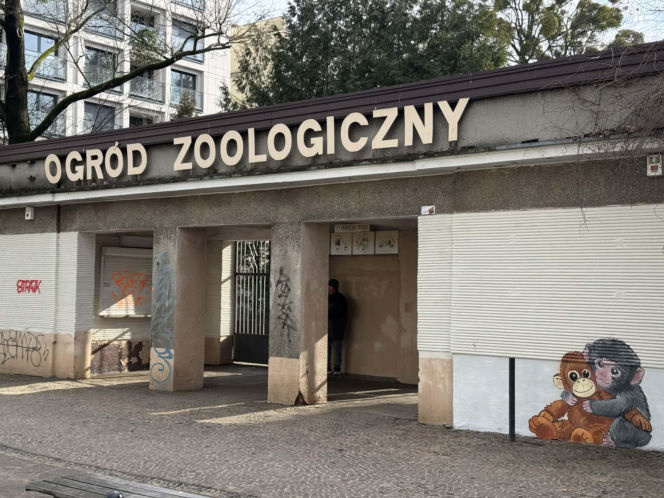 Artysta namalował mural z małpką Punch i wpadł w kłopoty! Zaskakujący finał