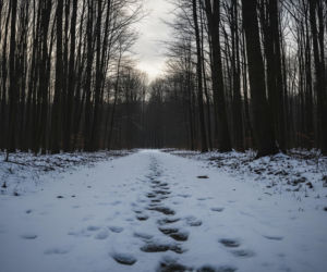 Zaginięcie 17-latka. Gdzie znaleziono chłopca po kolędowaniu?