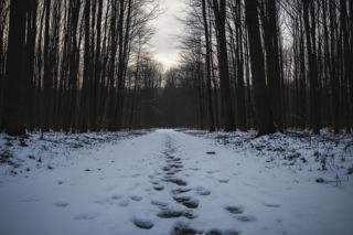 Zaginięcie 17-latka. Gdzie znaleziono chłopca po kolędowaniu?