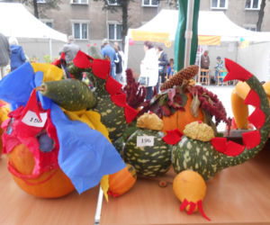 Żółte, pomarańczowe i zielone - za nami V festiwal Zaklęte w dyni.