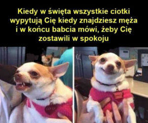 Święta Bożego Narodzenia. Te MEMY przed świętami rozbawią Was do łez! [MEMY]