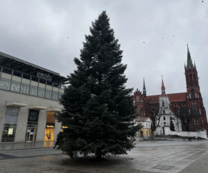Wielki choinka stanęła na Rynku Kościuszki
