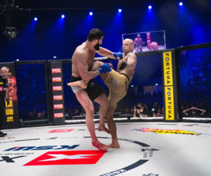 Mamed Chalidow przegrywa na KSW 117