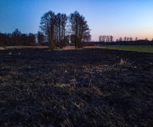 Pracowity wieczór strażaków. Płonęły i dom i trawy!