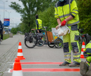 Nurogęsi mają swoje pasy