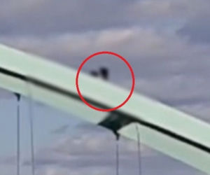 Weszli na przęsło ogromnego wiaduktu w Świebodzinie! Jeden podmuch wiatru mógł doprowadzić do wielkiej tragedii [ZDJĘCIA]